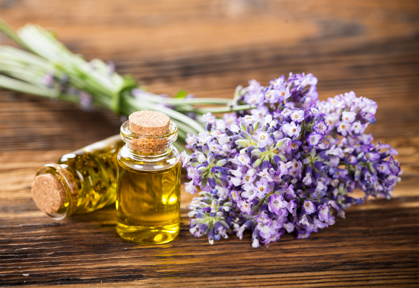 Huile essentielle de lavande aspic : propriétés et utilisations